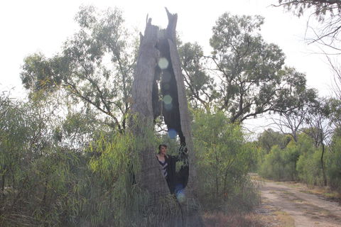 Martin Bend Wetland And Walking Trail - Accommodation Broome 1