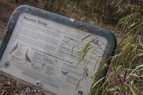 Martin Bend Wetland And Walking Trail - Accommodation Broome 2