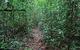 Misty Mountains Wilderness Tracks - thumb 1