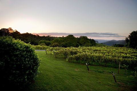 Montville - Accommodation Broome 1