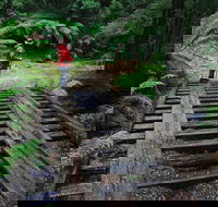 Montezuma Falls - Accommodation Broome