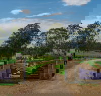 Moorebank Vineyard - Accommodation Broome