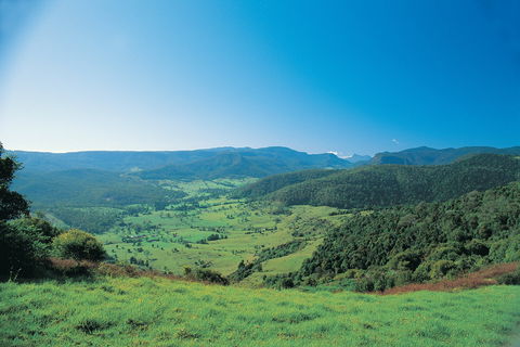 Numinbah Section, Springbrook National Park - Accommodation Broome 0