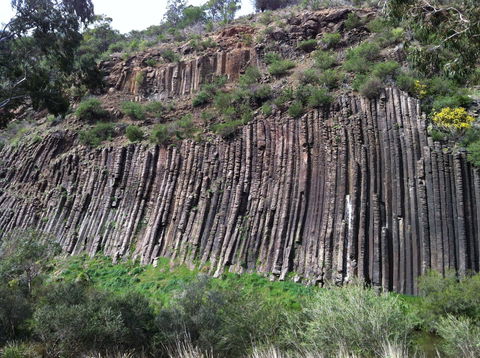 Organ Pipes National Park - Accommodation Broome 1