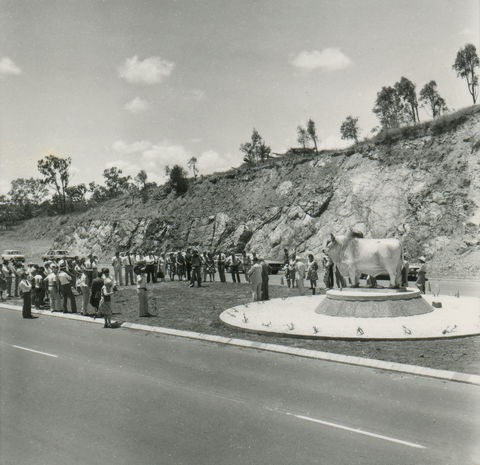 Rockhampton Bull Statues - Accommodation Broome 0
