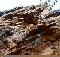 Rock Climbing in Morialta - Accommodation Broome