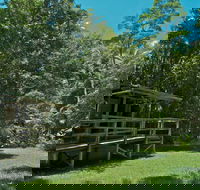 Terania Creek Picnic Area - Accommodation Broome