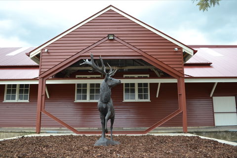 The Somerset Regional Art Gallery - The Condensery - Accommodation Broome 1