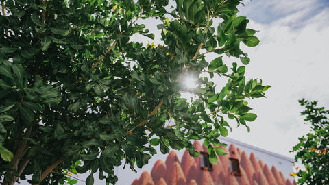 The Bourke Street Link - Accommodation Broome 2