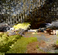 The Pines Picnic Area - Accommodation Broome