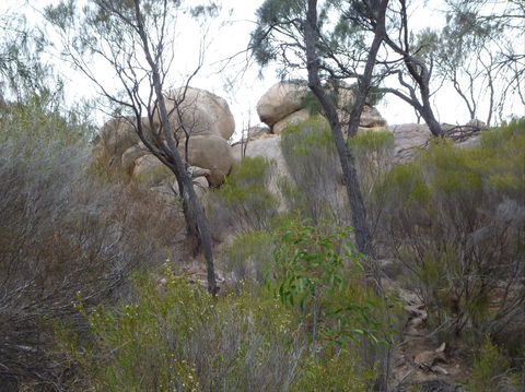 Tolmer Rocks - Mount Boothby Conservation Park - Accommodation Broome 0