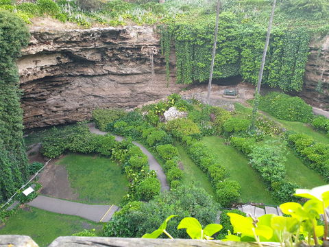 Umpherston Possum Tours - Accommodation Broome 2