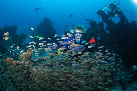 Aarhus Dive Site - Accommodation Broome 0