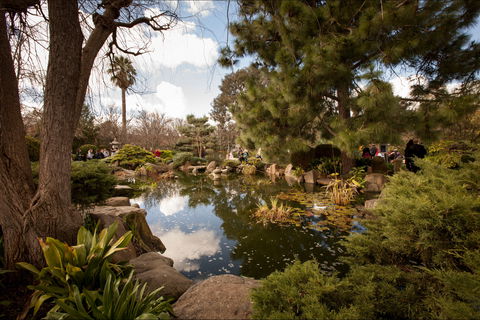 Adelaide Himeji Garden - Accommodation Broome 1