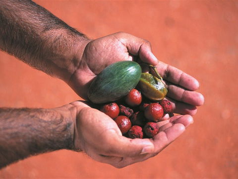 Alice Springs And Surrounds - Accommodation Broome 1