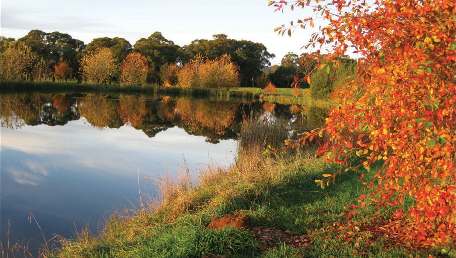 Alpine NSW Accommodation Broome