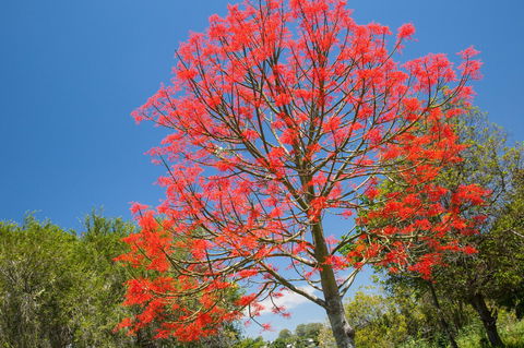 Ashby - Accommodation Broome 1