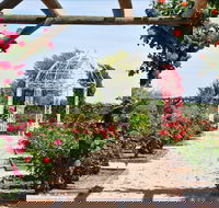 Australian Inland Botanic Gardens - Accommodation Broome