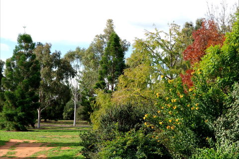 Australian Inland Botanic Gardens - Accommodation Broome 2