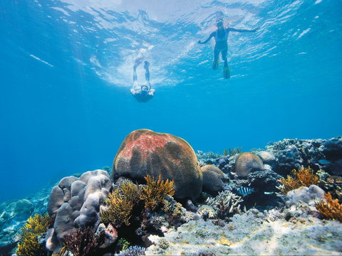 Capricorn Coast And Great Keppel Island Drive Itinerary - Accommodation Broome 0