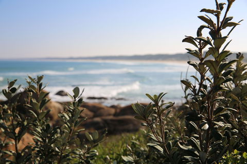 Cape Conran Coastal Park - Accommodation Broome 0