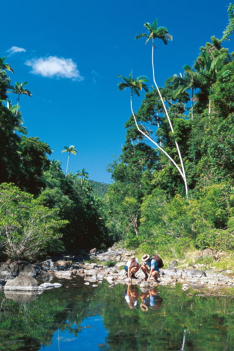 Cedar Creek Falls - Accommodation Broome 2