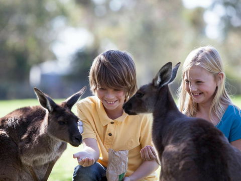 Cleland Wildlife Park - Accommodation Broome 1