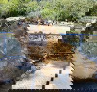 John Oxley Monument - Accommodation Broome