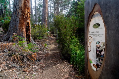 Lake St Clair (Cradle Mountain  - Lake St Clair National Park) - Accommodation Broome 2
