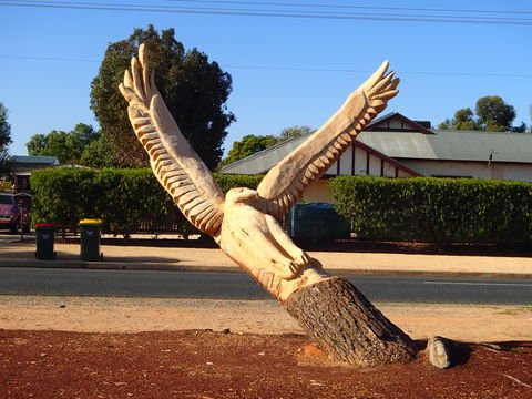 Loxton Tree Sculptures - Accommodation Broome 0