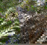 Moore Park Nature Reserve - Accommodation Broome