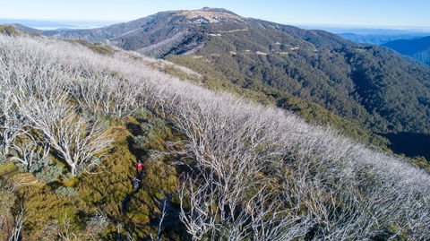 Mt Buller Bike Park - Accommodation Broome 0