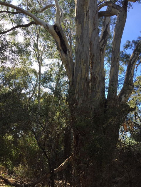 Northern Beaches - Accommodation Broome 0