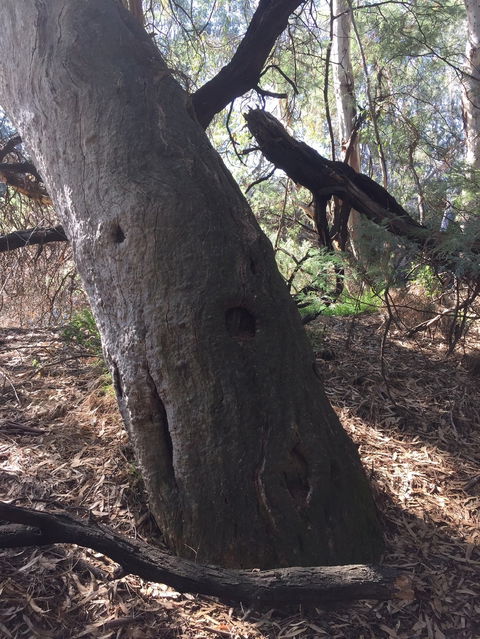 Northern Beaches - Accommodation Broome 1