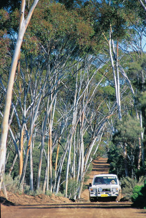 Norseman - Accommodation Broome 1