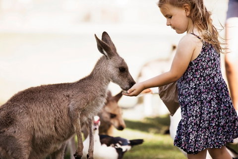 Oakvale Wildlife Park - Accommodation Broome 1