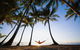 Palm Cove - thumb 0