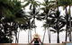 Palm Cove - thumb 1