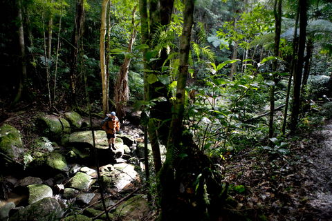 Strickland State Forest - Accommodation Broome 0