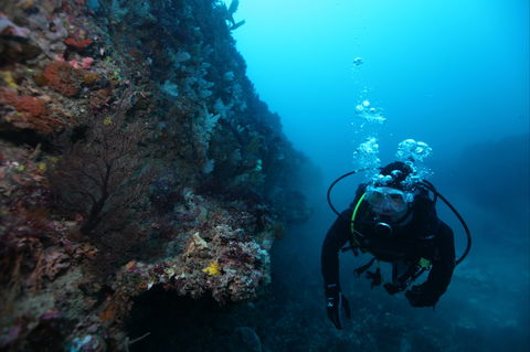 Twelve Apostles Marine National Park - Accommodation Broome 0