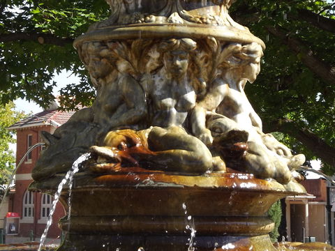 Two-Foot Heritage Walk - Accommodation Broome 2