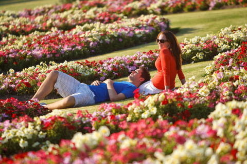 Victoria State Rose Garden At Werribee Park - Accommodation Broome 1