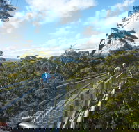 Walpole-Nornalup National Park - Accommodation Broome