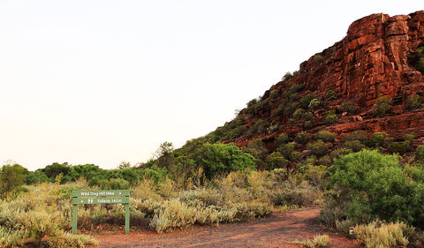 Whyalla Conservation Park - Accommodation Broome 0
