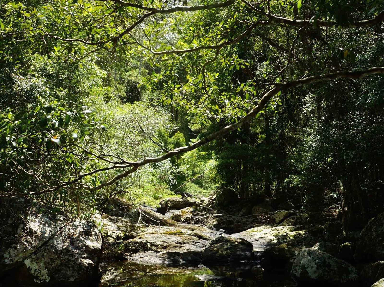 Witta QLD Accommodation Broome