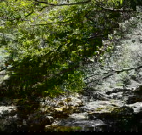 Witta - Accommodation Broome