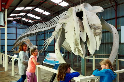 Albany's Historic Whaling Station - Accommodation Broome 2