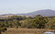 Ararat - thumb 2