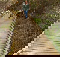 Balcombe Creek Estuary Boardwalk - Accommodation Broome
