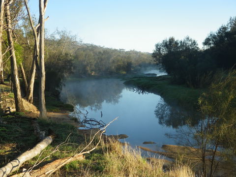 Bilya Walk Track - Accommodation Broome 0